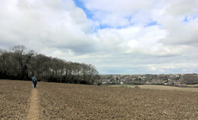 view
